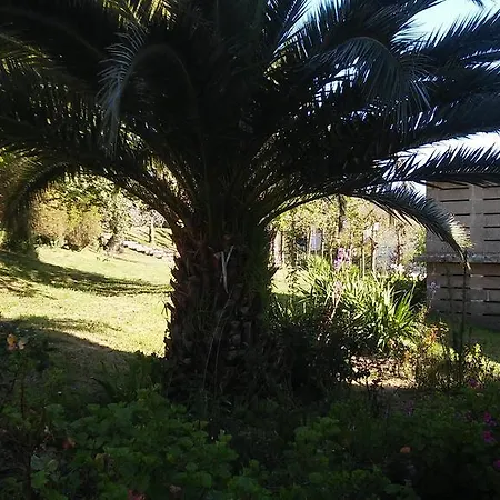 招待所 Pazo Pias P Ramallosa (Pontevedra)